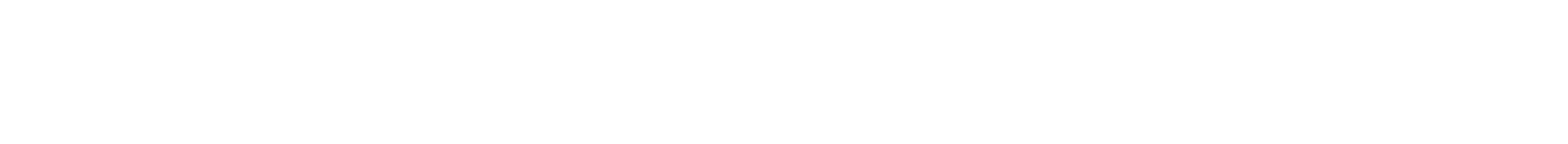 PartySlate logo, white